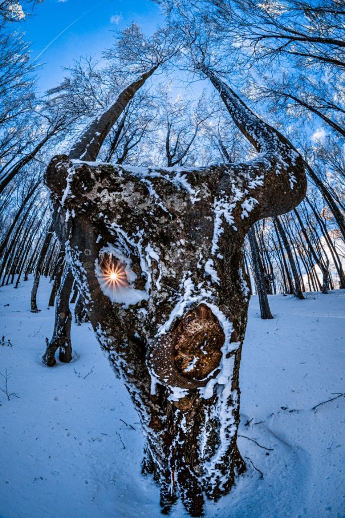 Фотограф: Александър Иванов