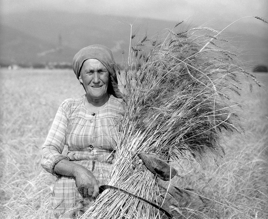 Жътварка (1957) | Фотограф: Артин Азинян