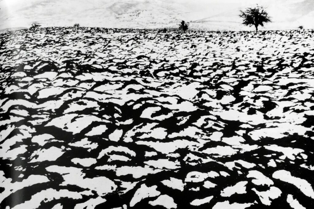 Угар (1980 г.) | Фотограф: Петър Божков