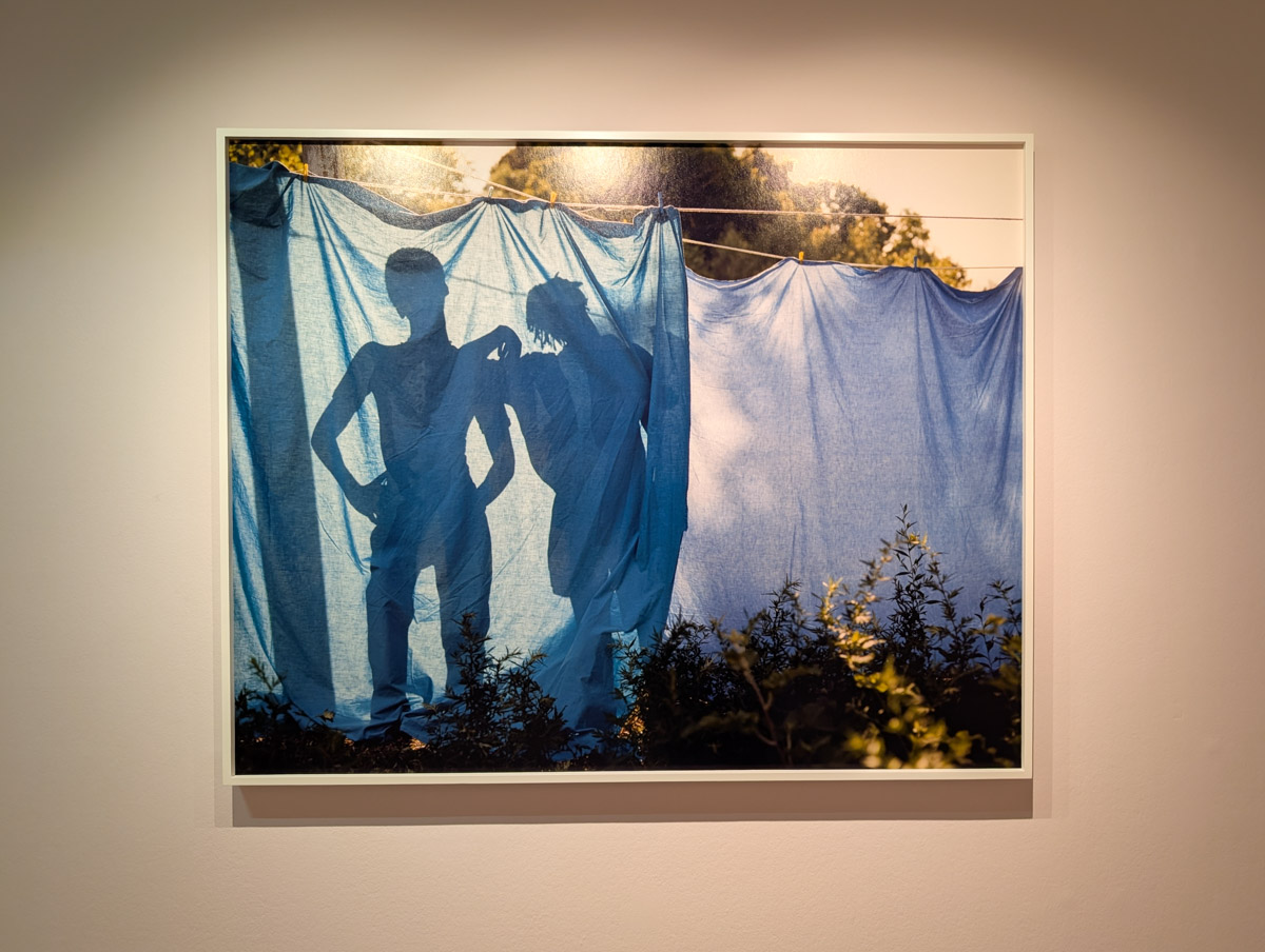 Tyler Mitchell - „Wish This Was Real“ | Maison Européenne de la Photographie