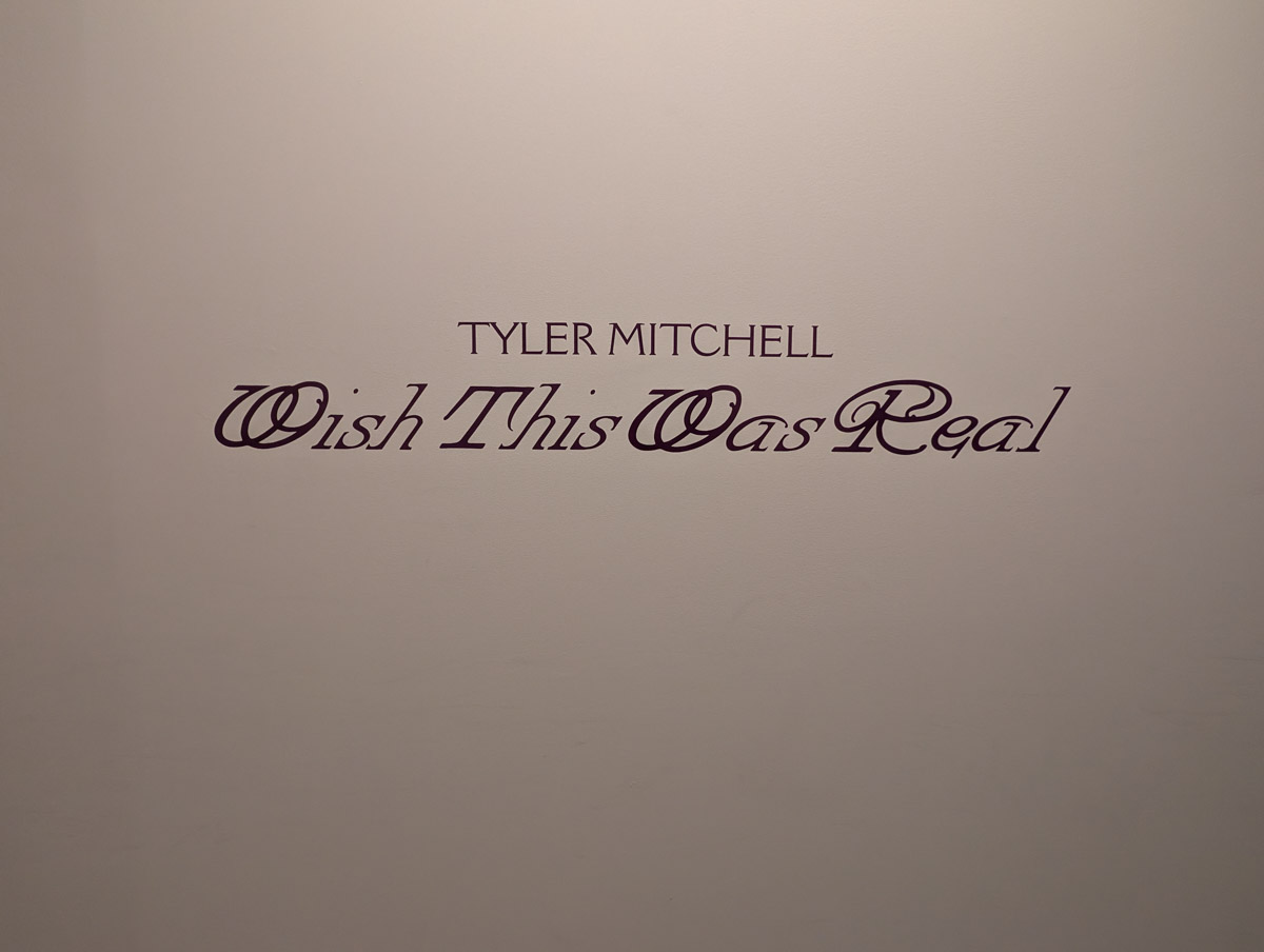 Tyler Mitchell - „Wish This Was Real“ | Maison Européenne de la Photographie