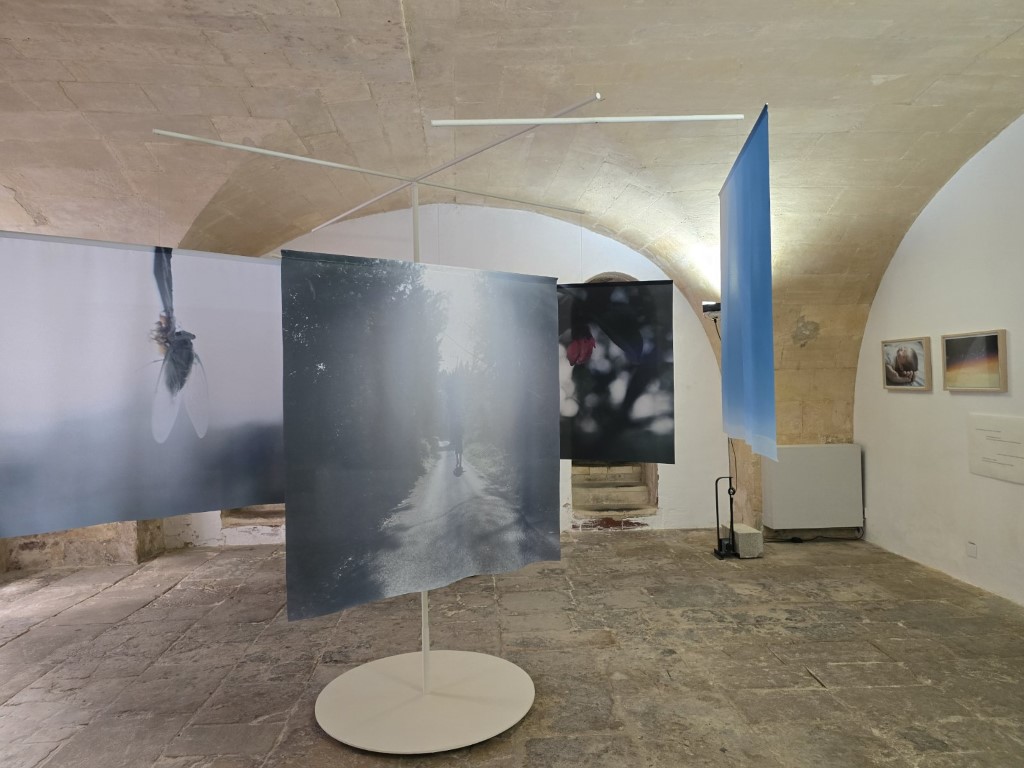 Rinko Kawauchi, Cui Cui + as it is, Rencontres d’Arles 2026 ©Надежда Павлова