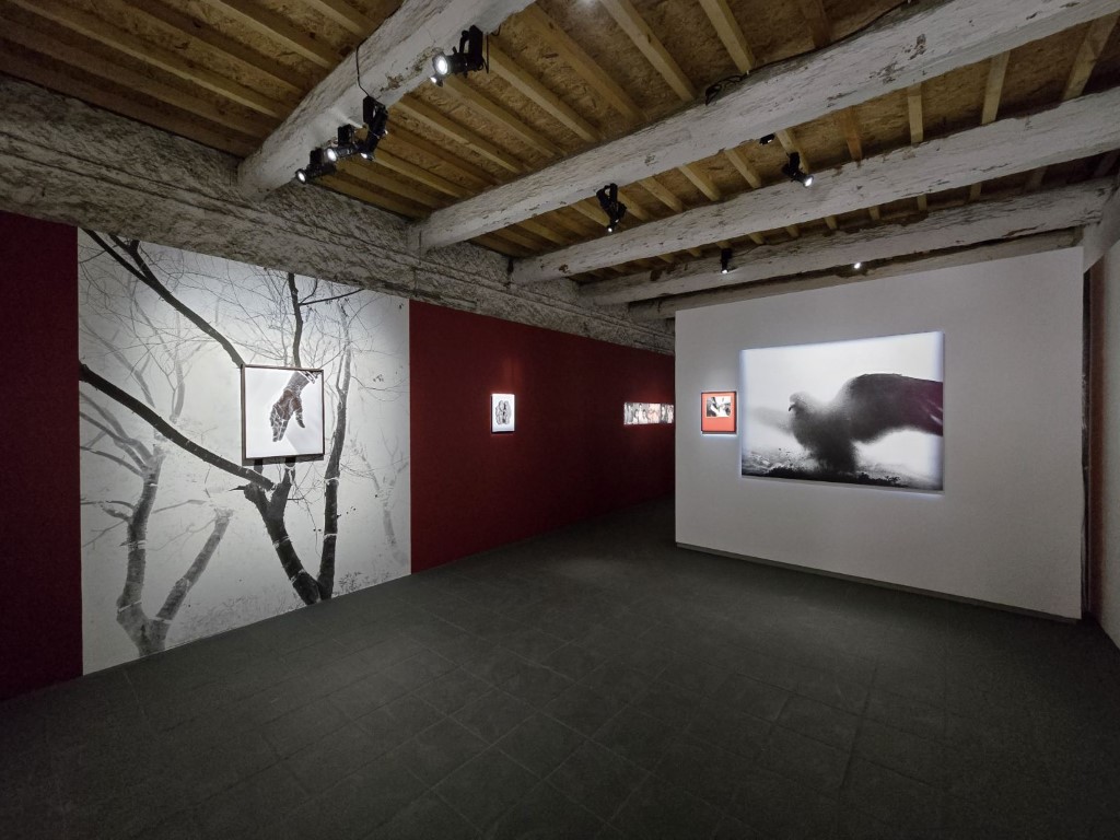 Aman Alam, Ozymandias, Rencontres d’Arles 2026 ©Надежда Павлова