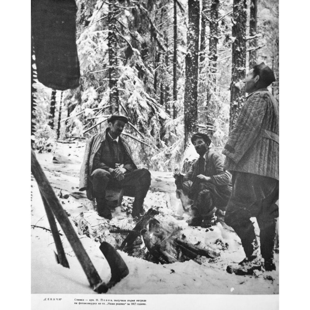 Секачи | Фотограф: арх. Николай Попов | Източник: Списание "Наша родина" 1954 г.