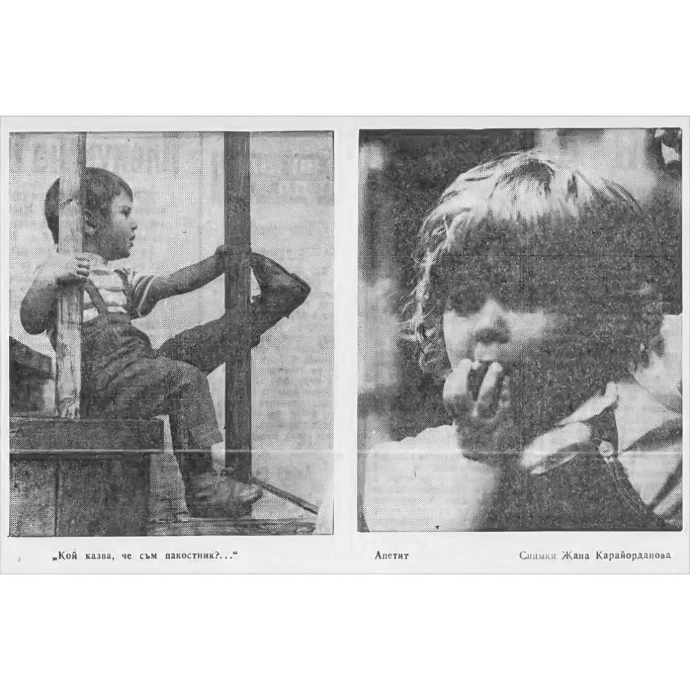 Източник: В-к "Труд", Бр. 34/10.02.1981 г.